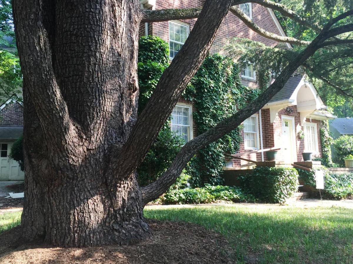 English Cottage Greensboro Exterior photo